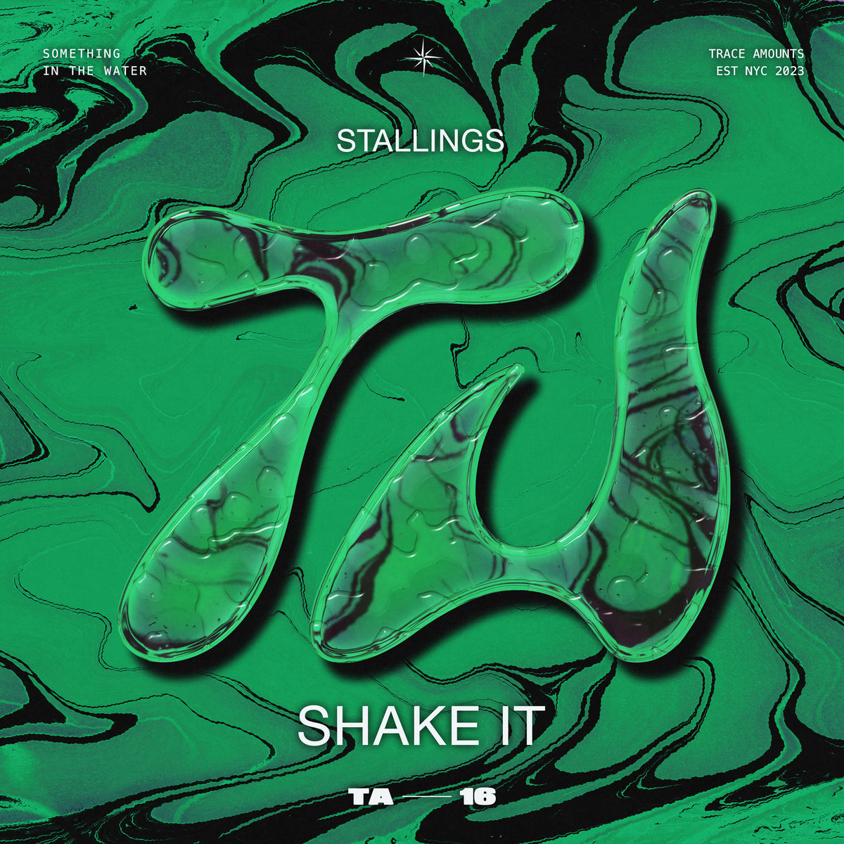 Shake It cover