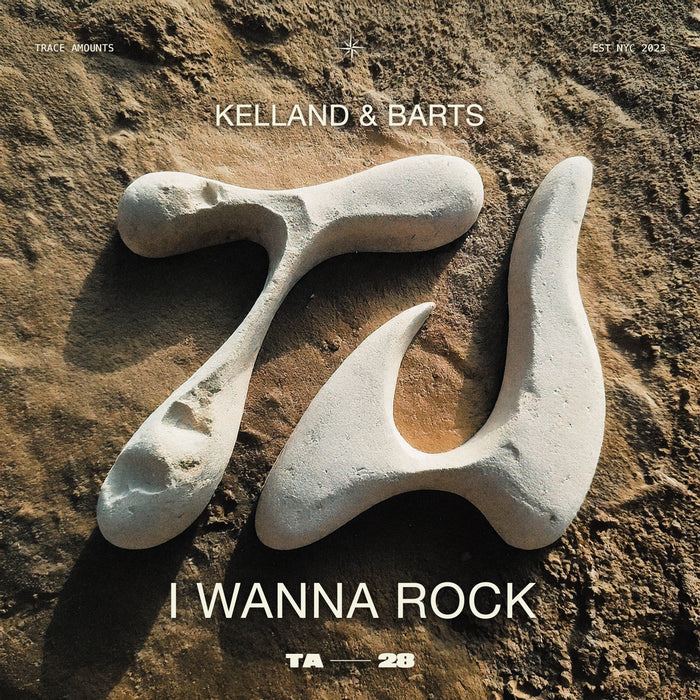 I Wanna Rock cover